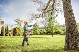 Best Tree Health Inspection  in Laguna Woods, CA